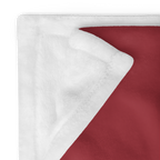 Latvijas karoga pleds
